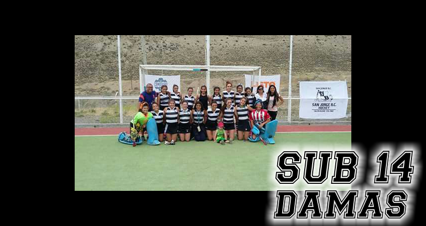 Sub14D