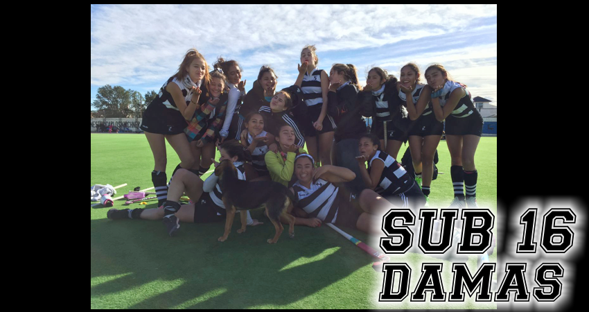 Sub16D