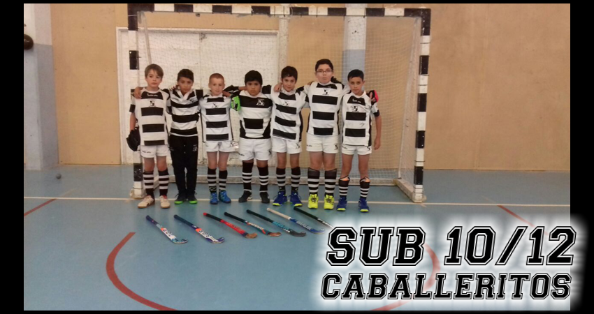 HSUB1012C