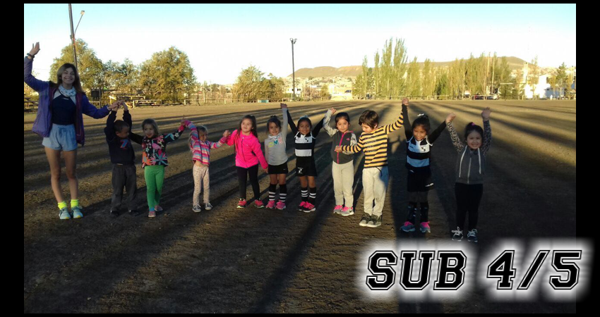 HSUB45