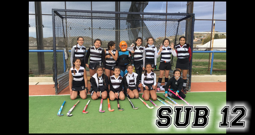 HSub12