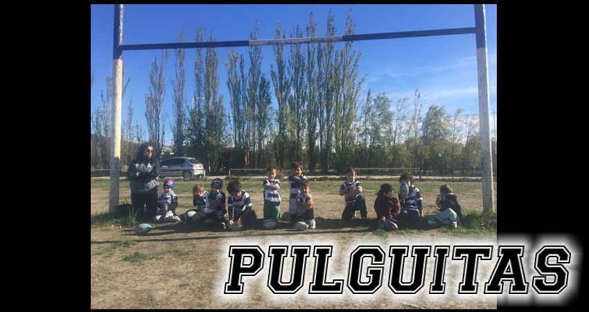 PULGUITAS